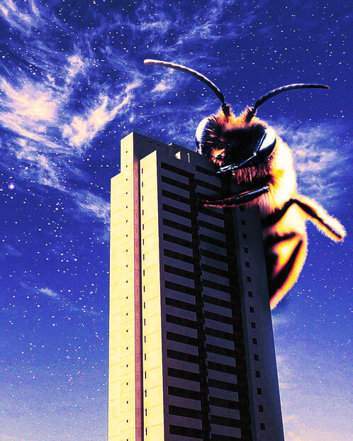 Abelha Colossal